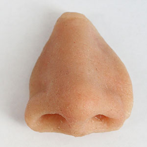 Artificial nose