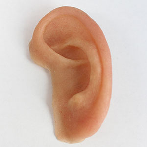 Artificial ears or auricular prosthesis